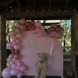 BALLON BACKDROPS FOR ALL EVENTS 