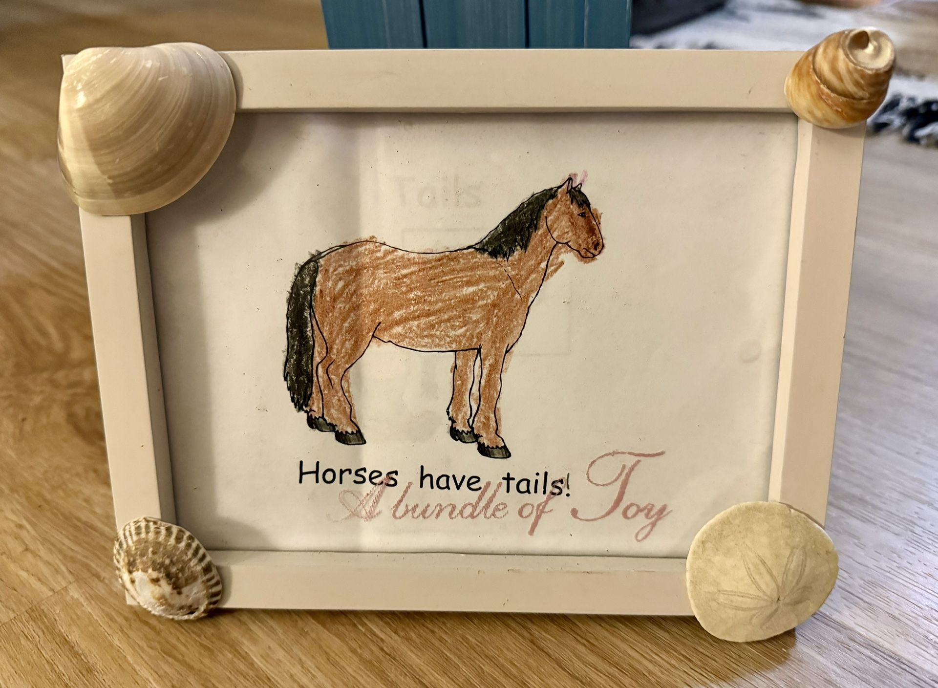 Handmade Beach shells picture frame!