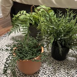 Fake Plants For Sale!