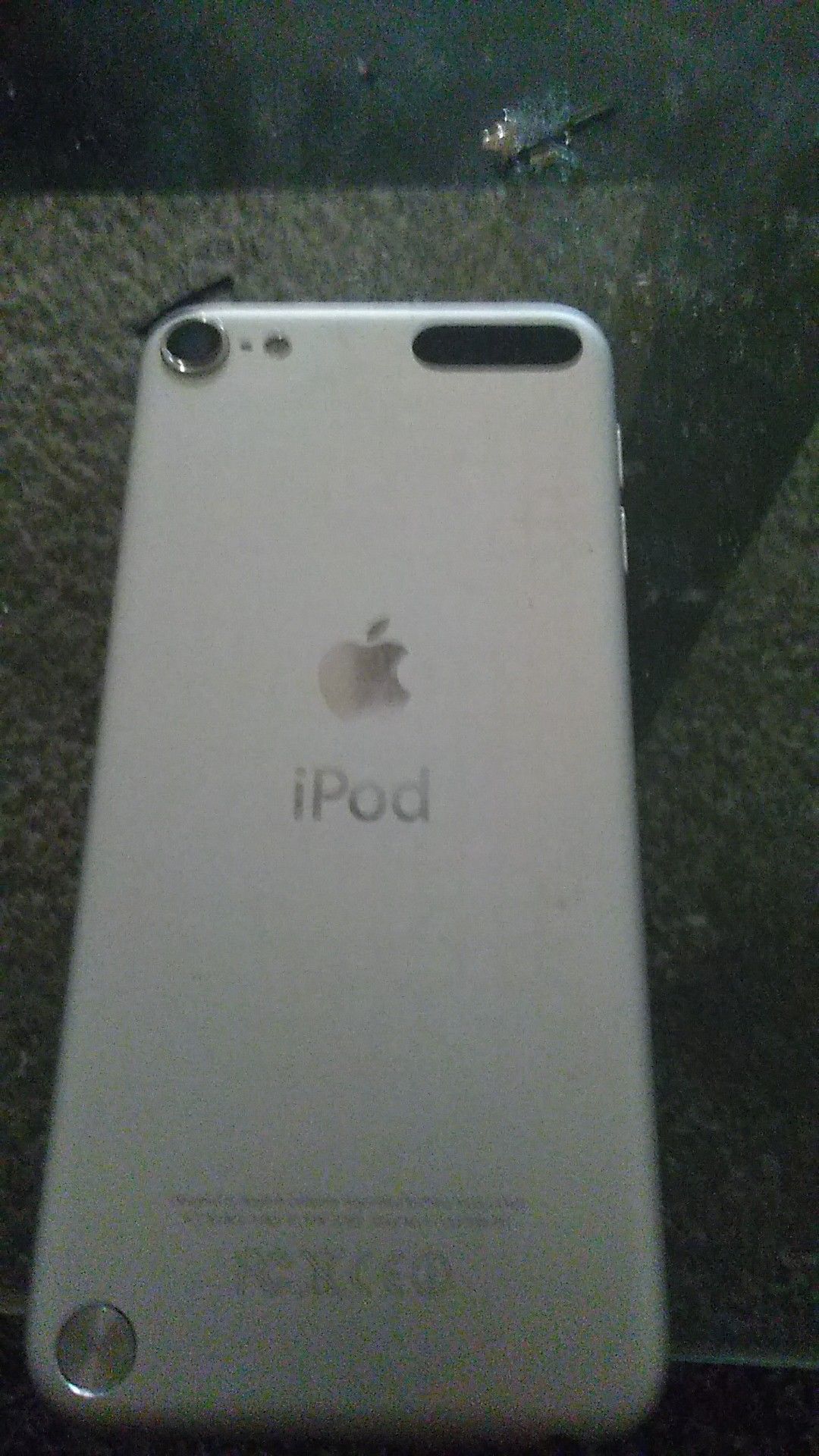 iPod model a1421