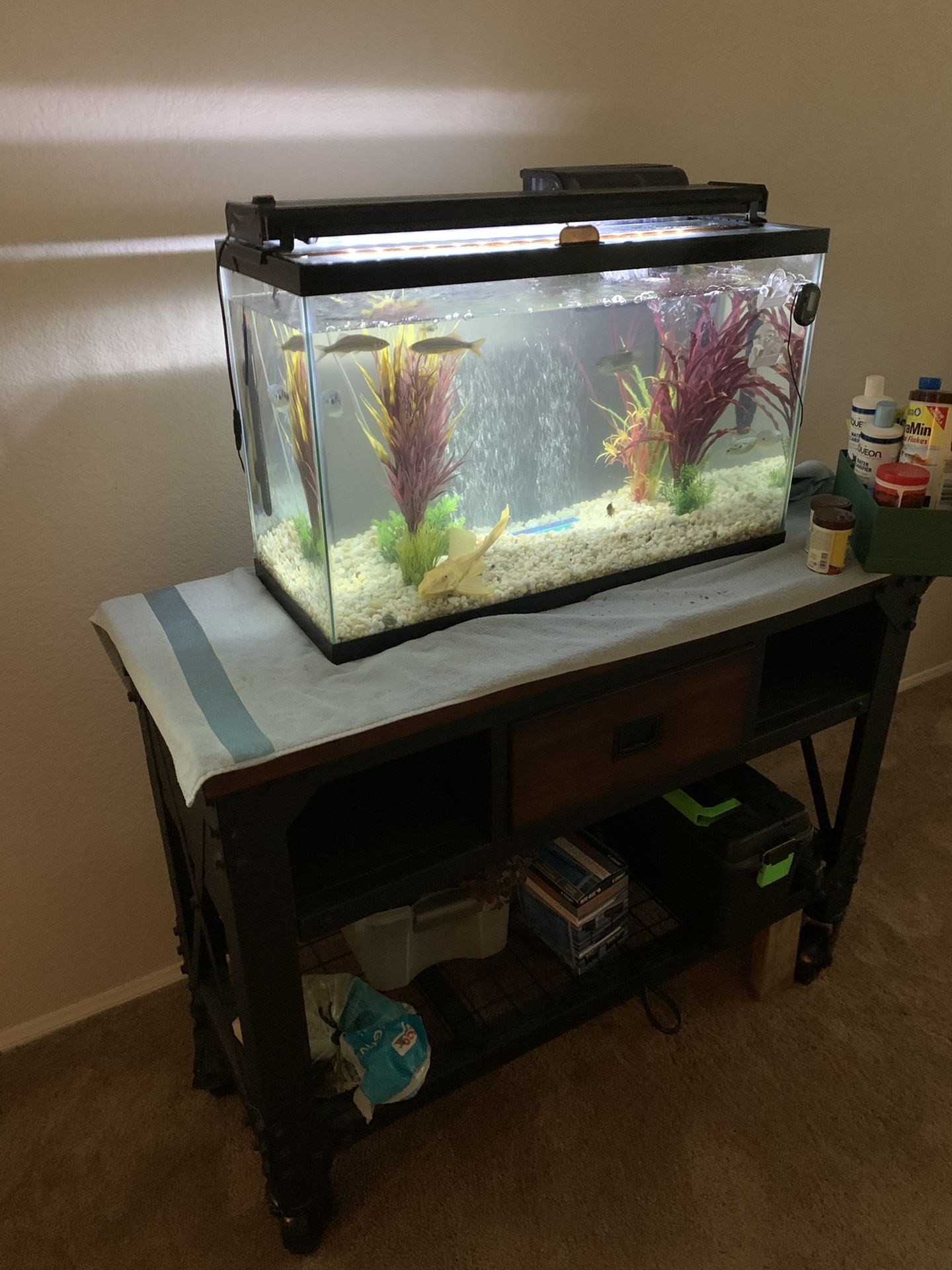 30 Gallon Fresh Water Aquarium- Complete Set Up-Stand sold separately.