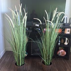 Plant Decor Homegoods