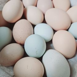 Delicious Chicken Eggs