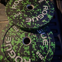 Weight Rogue Fleck Plates