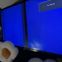 47” Hisense With A black Line 