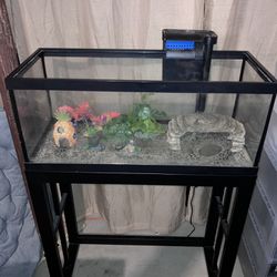 20g Long Aquarium With Stand 