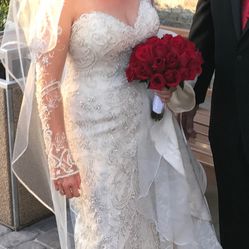 Wedding dress And Veil 