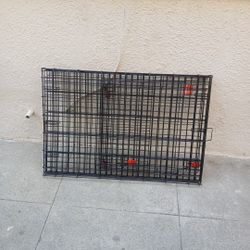 Extra large kennel for a dog and it's called kong