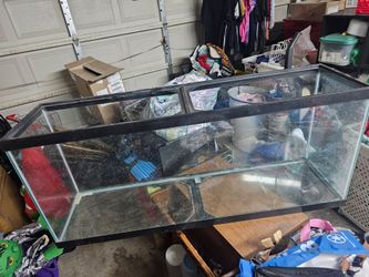 55 Gallon tank