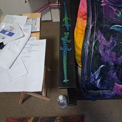 2 Metallic 3D Dragons