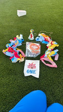 One Year Old Circus Theme