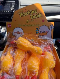 Duck squishy
