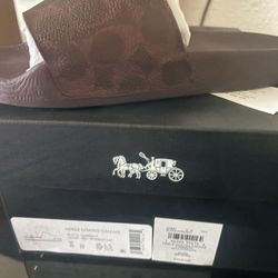 Coach authentic Woman Slides 