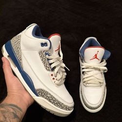 Air Jordan 3s True Blue 10.5