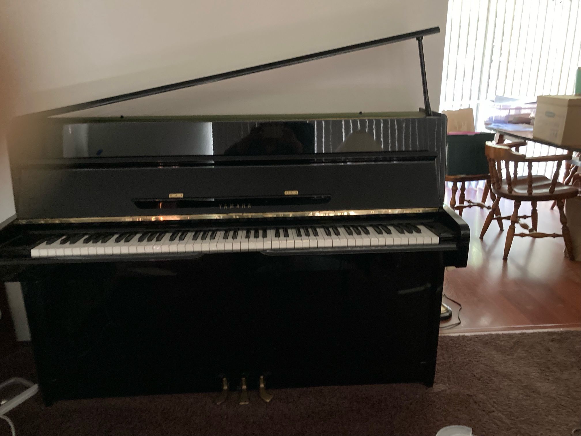 Piano - Yamaha Ebony