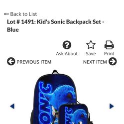Sonic Backpack And Accessories 