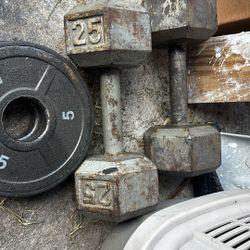 25 Pound Dumbells