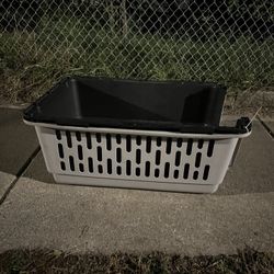 Vibrant Life, Large Plastic Dog Carrier