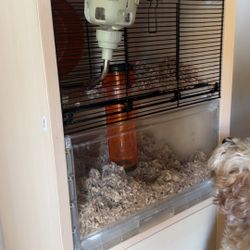 Hamster 🐹 Cage