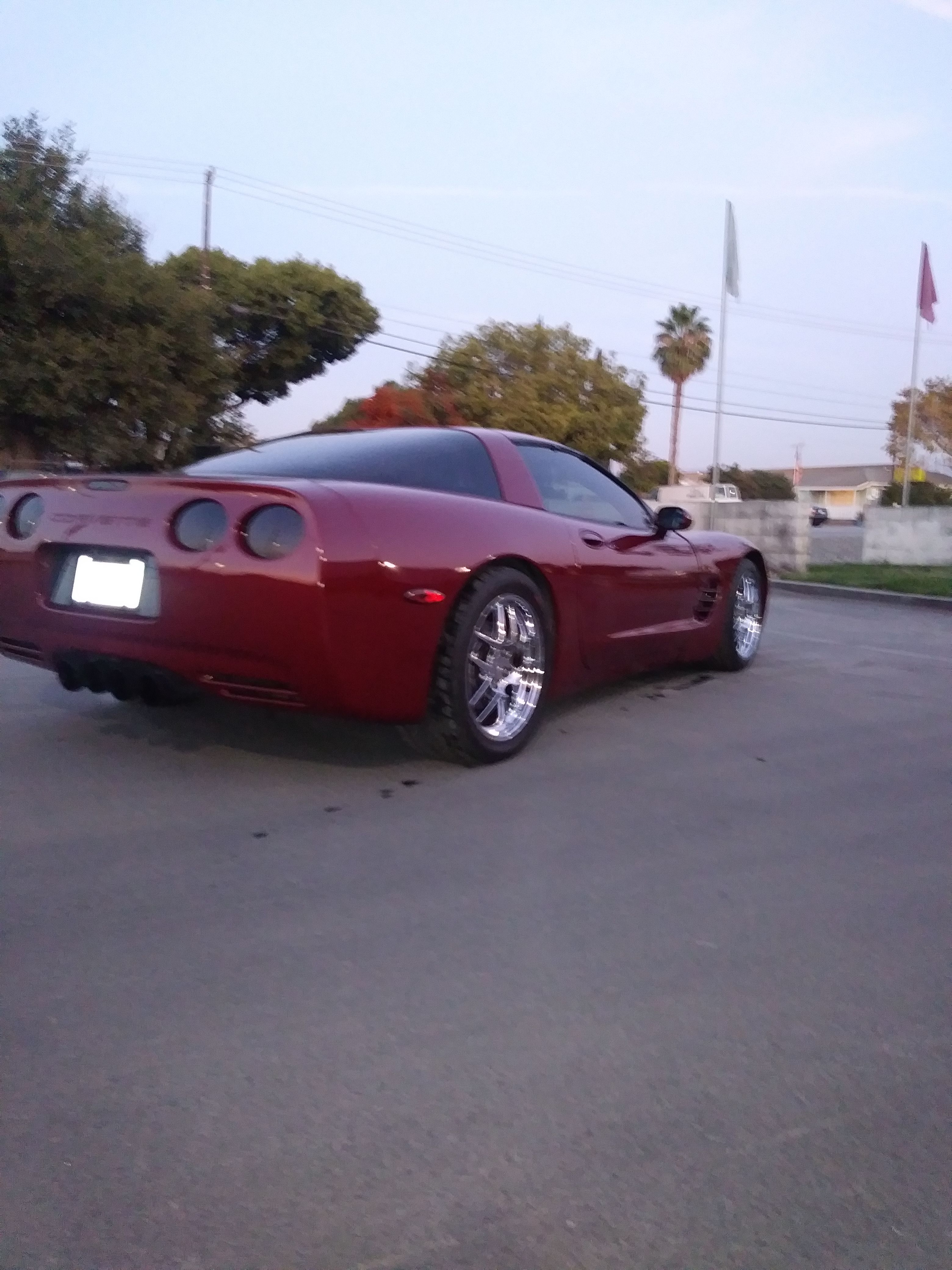 2004 corvette