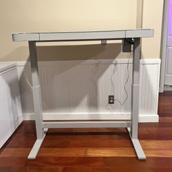 Standing Desk 