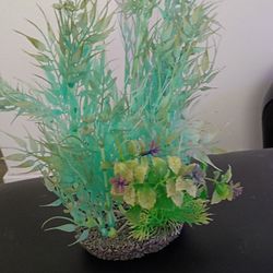 Fish tank
