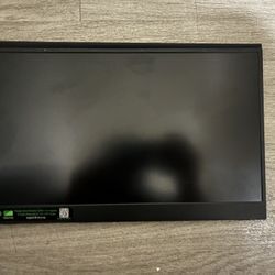 Portable Monitor (15.6in)