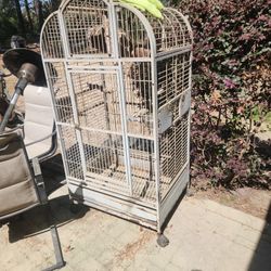 Big Bird Cage 