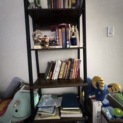 Ladder Book Shelf