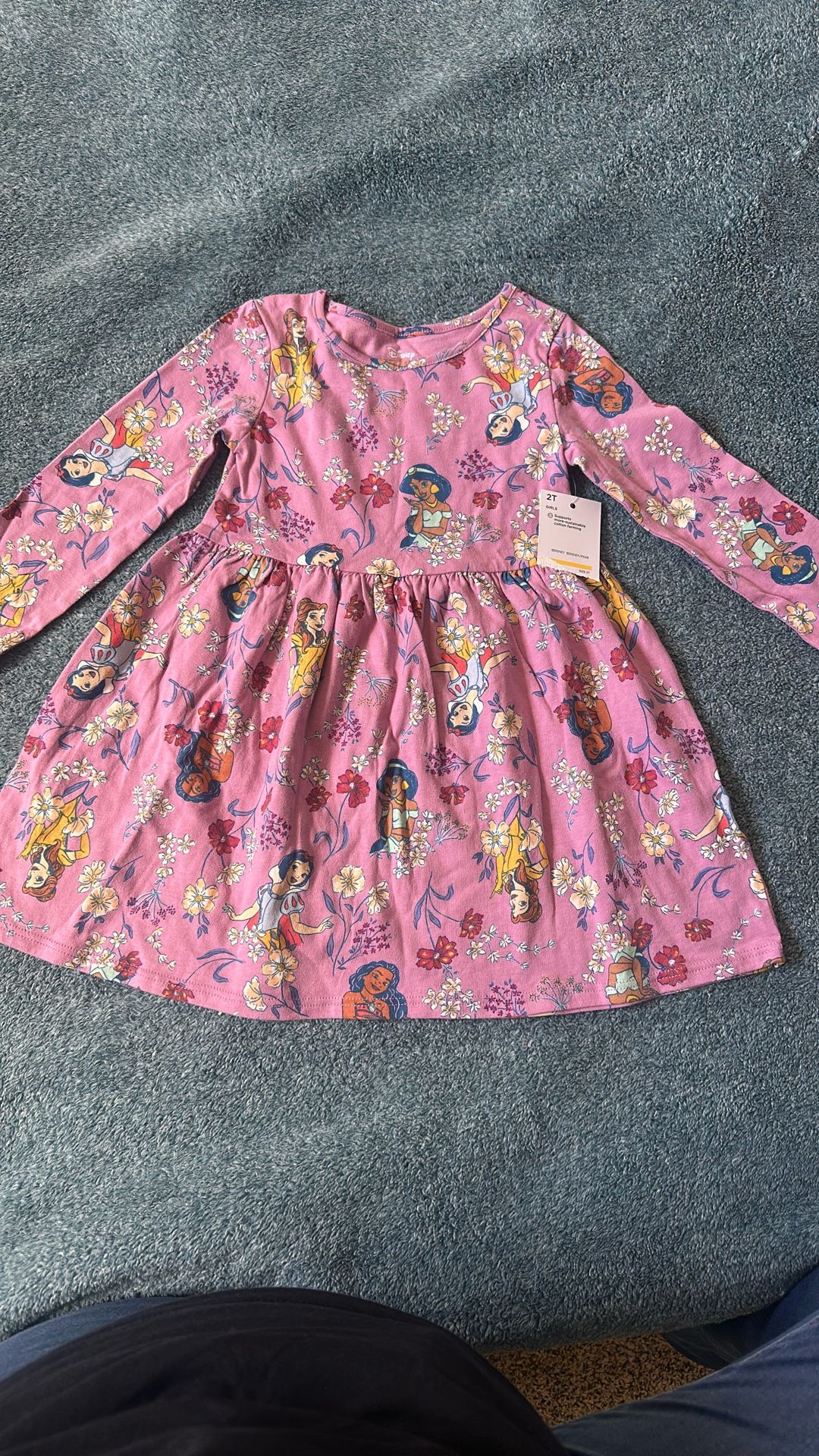 2t Girls Dress