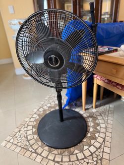 Lasko Black Pedestal Standing Fan