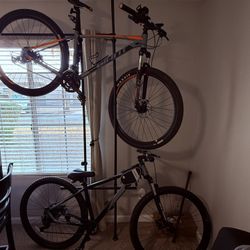 2 Biks