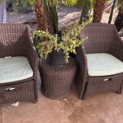 Elephant Food Plants $30 Each