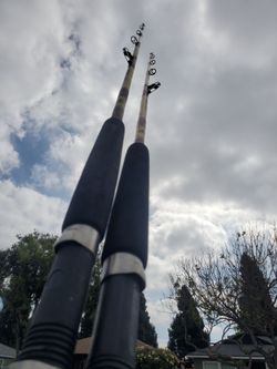 2 Penn senator rod 40-60lb
