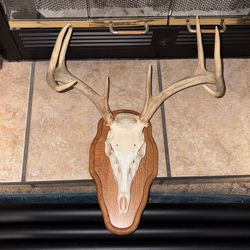 Deer Antler Mount