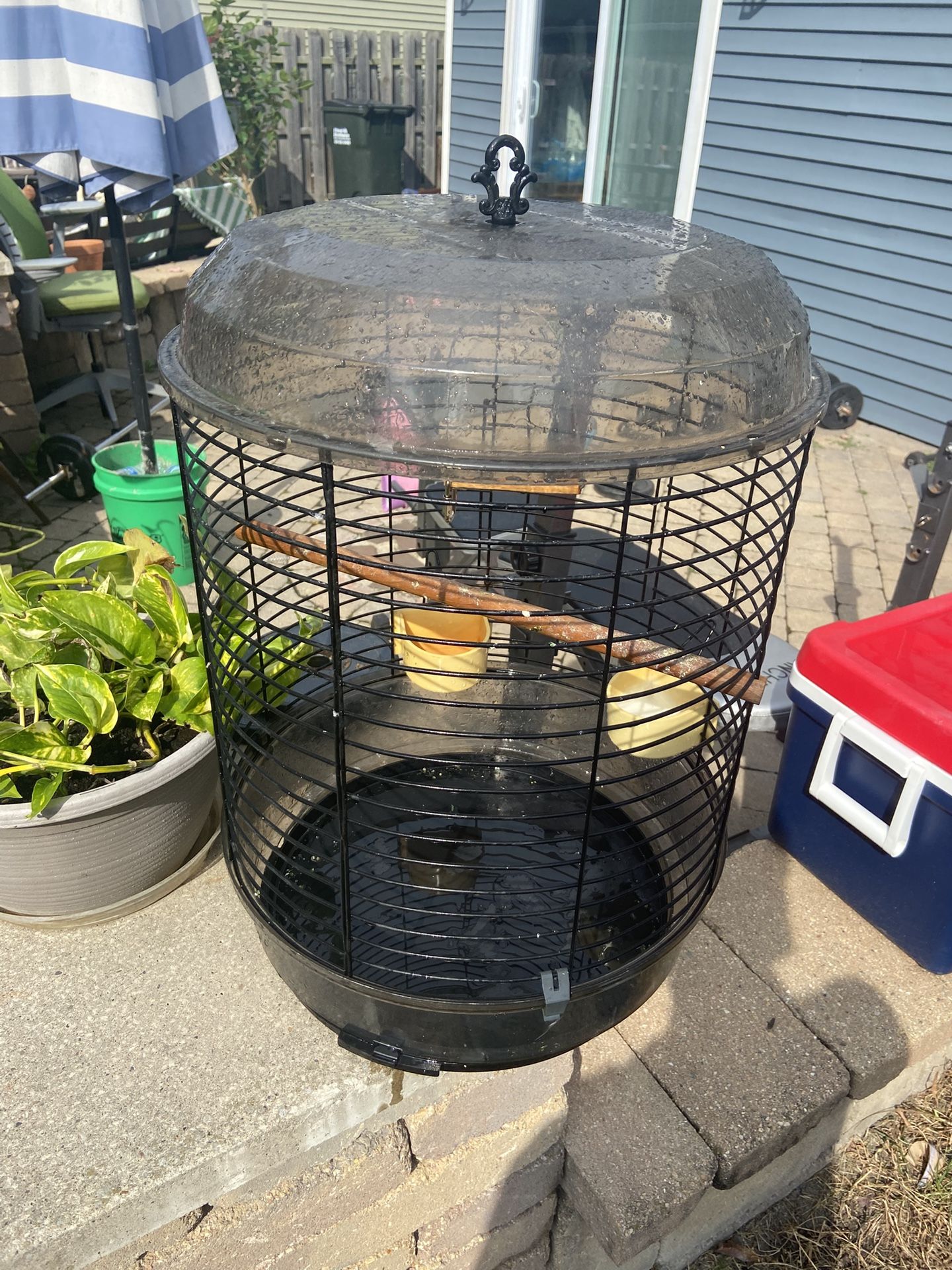 Bird Cage 