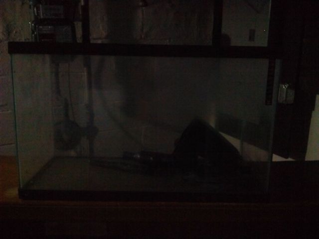 30 gallon