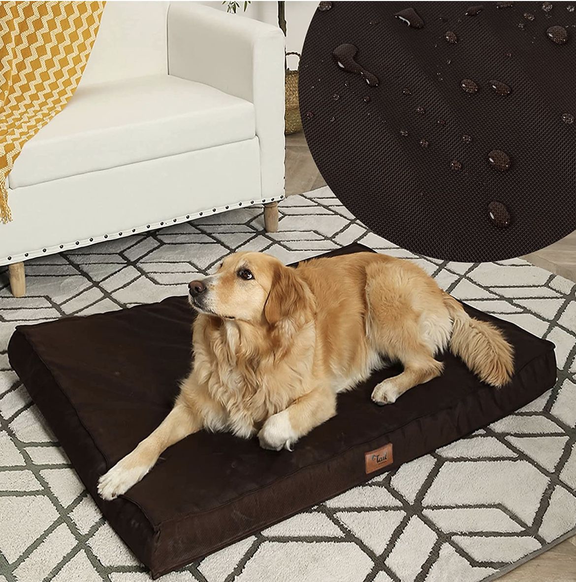 Tail Stories Orthopedic Dog Bed