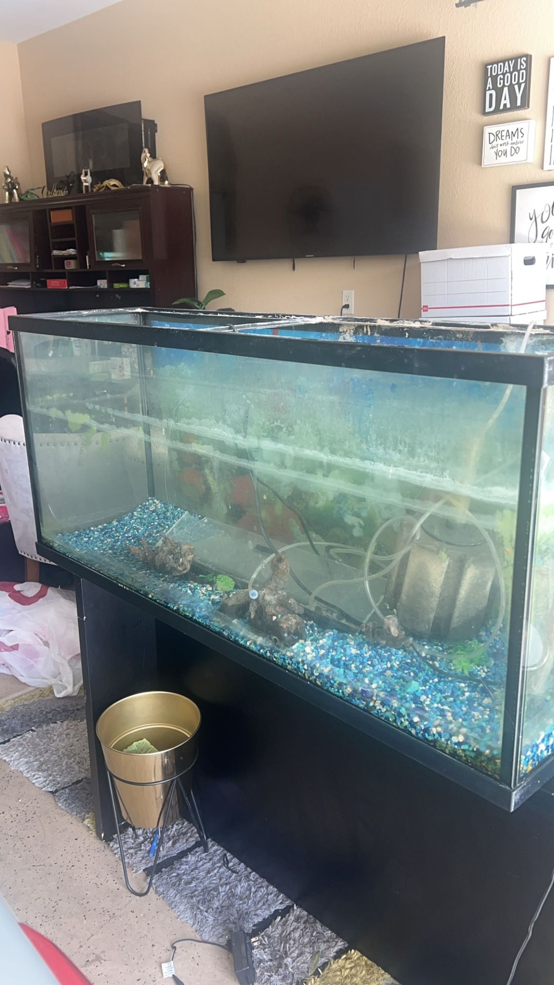 Fish Tank