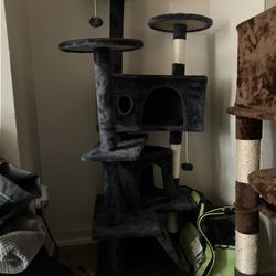 Cat Tree