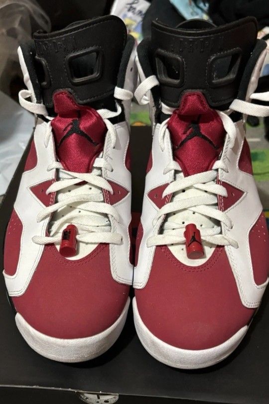 Jordan 6 Carmine Sz 12