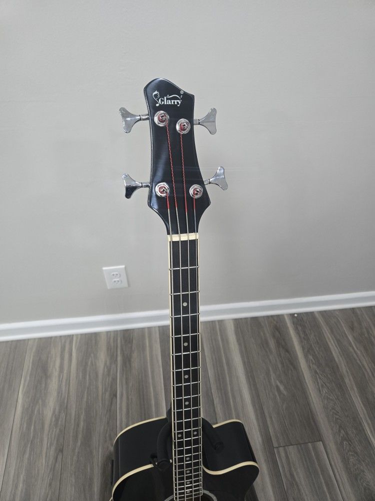 acoustic hollow body electric bass