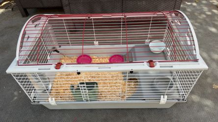 Living world Cage