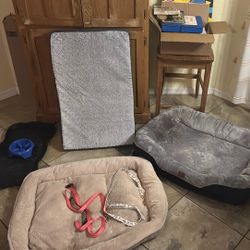 Doggie Beds and Accessories 