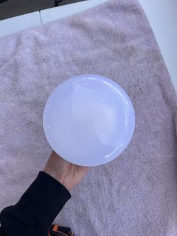 Assorted Light Bulbs