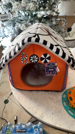 Free Cat House And Toy