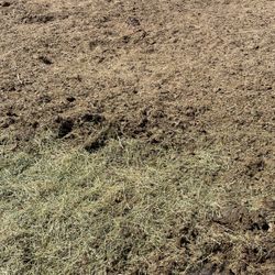 Free Stiercol Caca De Vaca