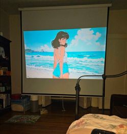 SONY BRAVIA SXRD 1080p Projector w/ Huge Screen - Great Condition w/ Newer

Lamp