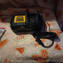 6 Amp Battery Charger Retail Price $80