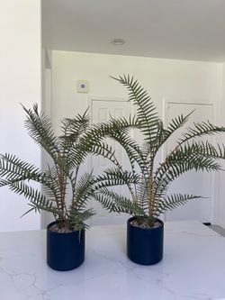 Faux decor plants set both for $30